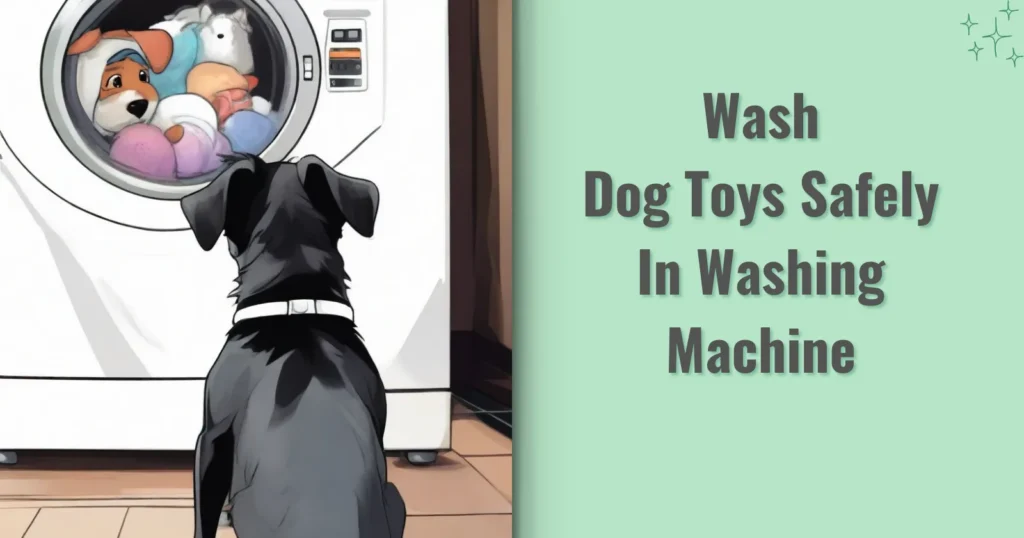 Dog is looking at his toys in washing machine