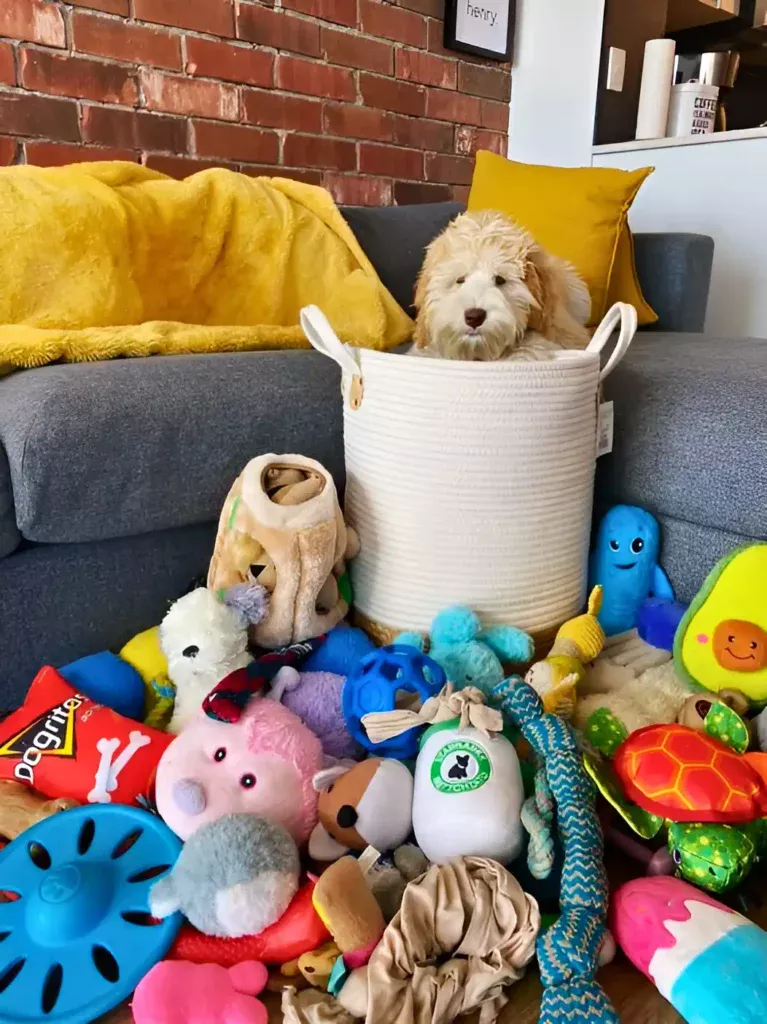 a dog is sitting in a basket full of toys