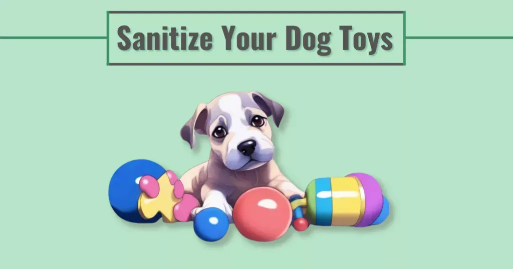 dog looking at his sanitize toys