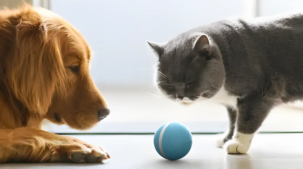 dog and cat playing with ball