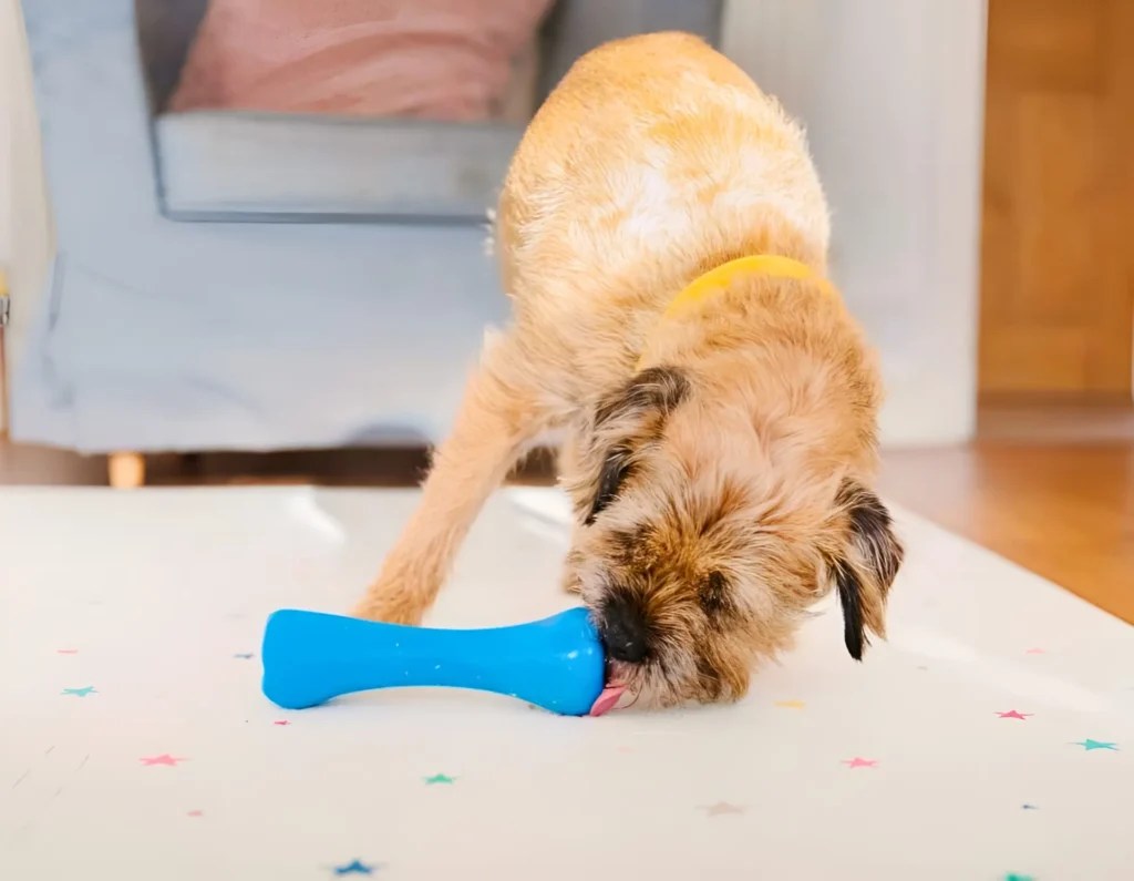 dog with vanilla scented chew toy