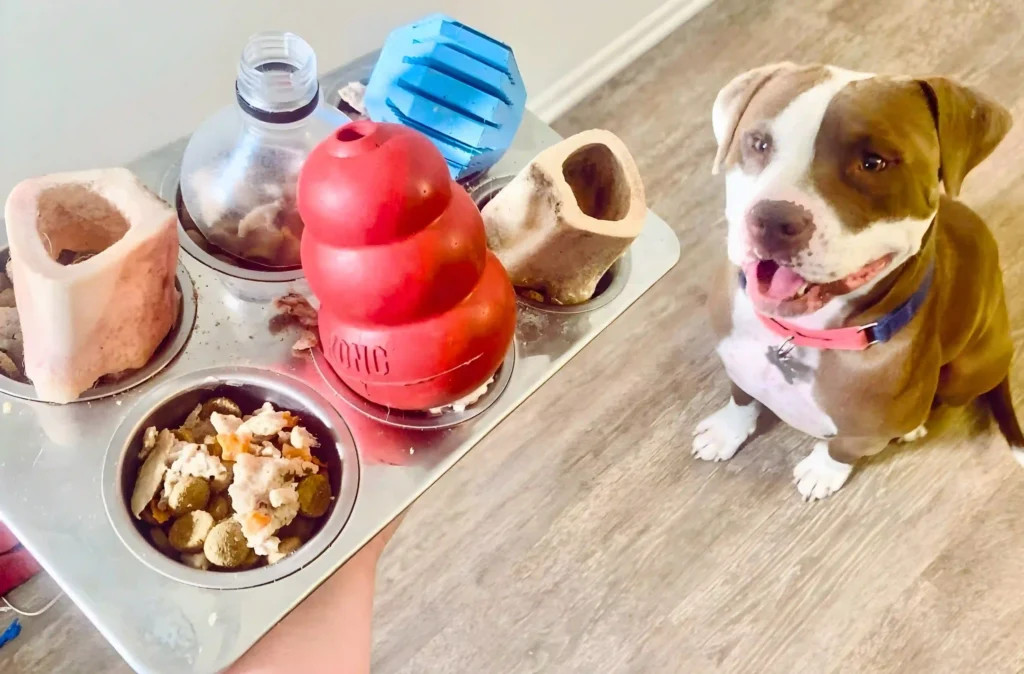 dog with toys in food bowl