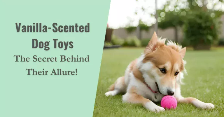 Dog Playing With His Vanilla-Scented Toy Ball