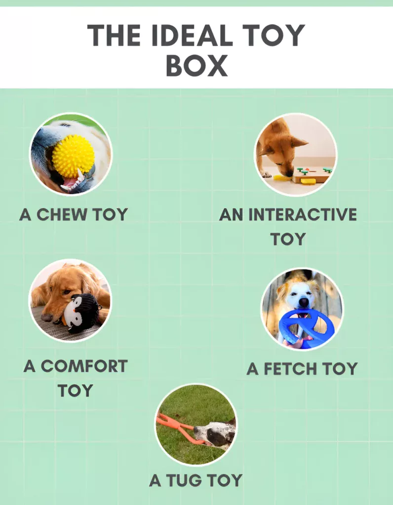 the ideal toy box for dogs