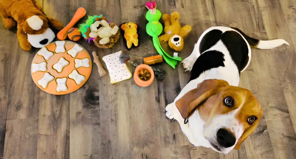 a dog laying on the floor next to stuffed animals