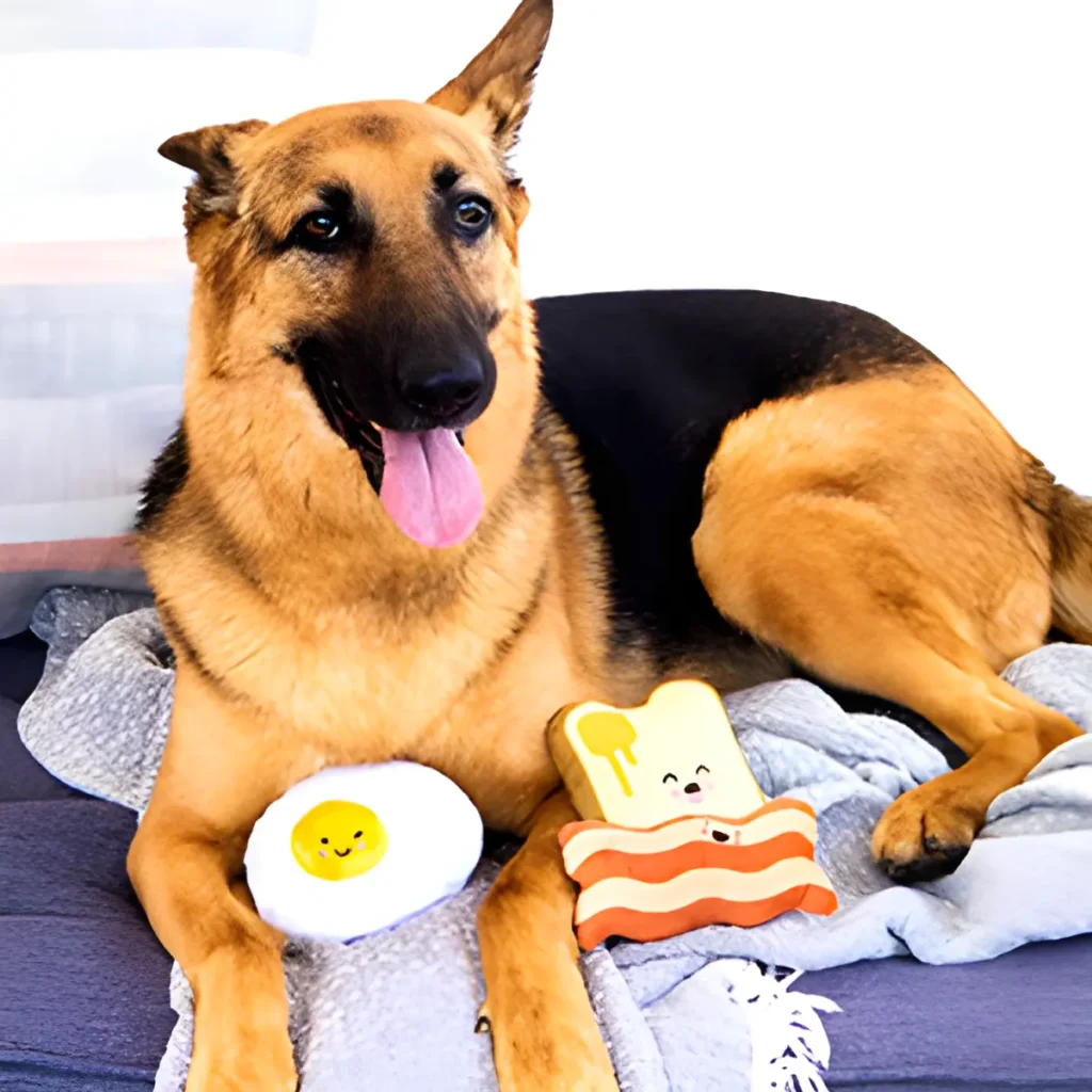 German Shepard with plush toys