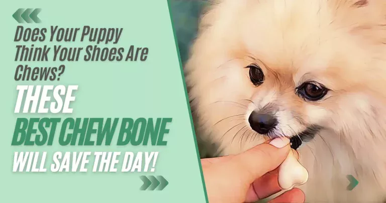 Best Chew Bones For Puppies