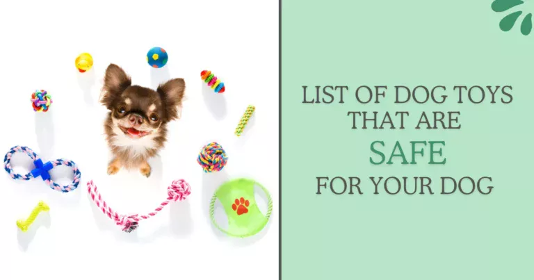 Dog toys that are safe for Dog