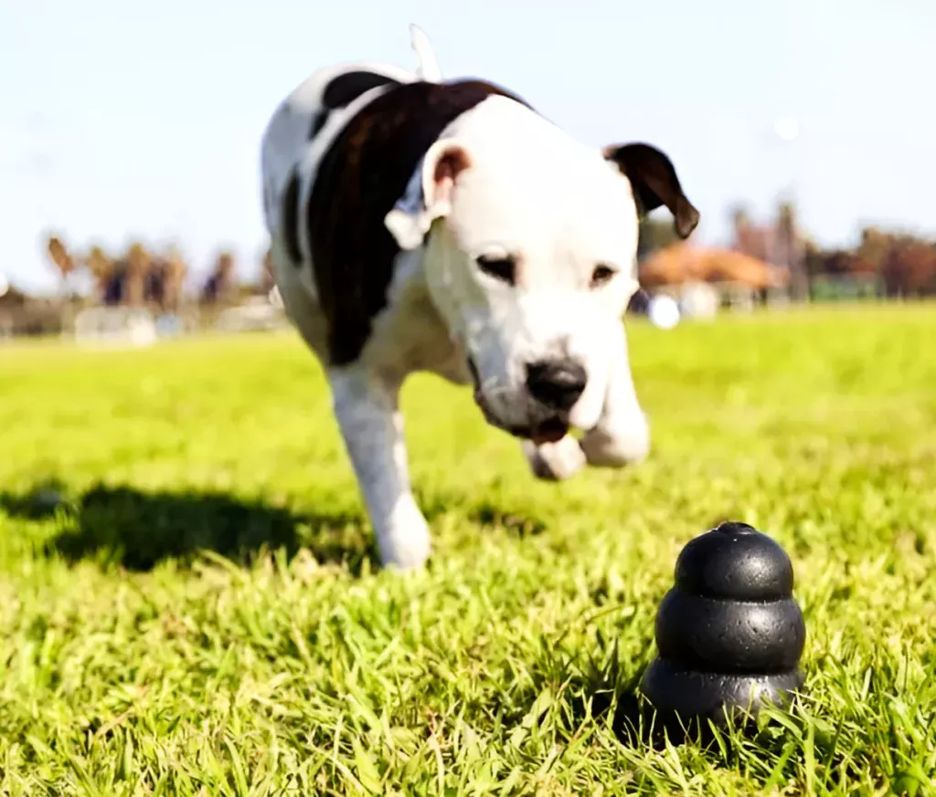 dog running towards classic black Kong toy