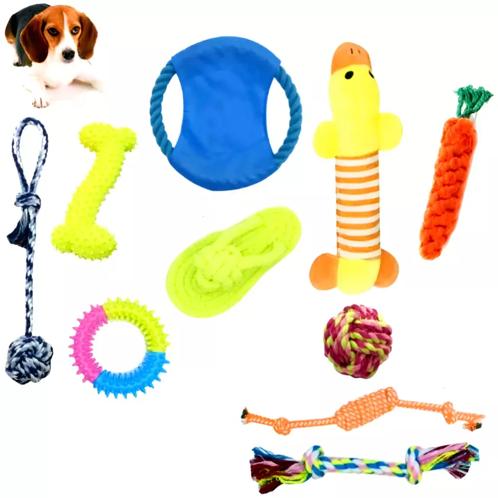 different types of Shein dog toys