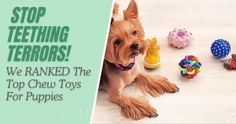 Chew Toys for Teething Puppies