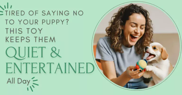 a woman playing with a puppy with a chew toy